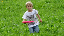 Auf der Wiese (16.09.2015)