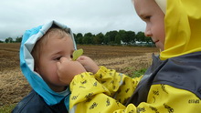 Spaziergang mit Nik und Bastian (15.08.2012)
