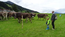 Viehscheid Kranzegg (15.09.2015)