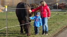 Spaziergang Germaringen (13.12.2015)