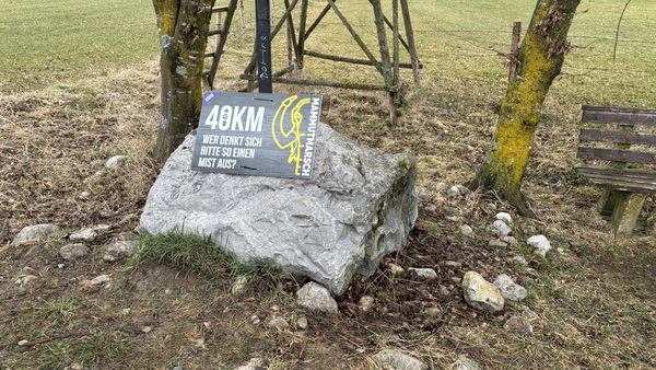 Mammut Marsch Mnchen (15.03.2025)