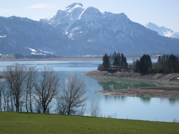 Der Forggensee im Hintergrund der Säuling