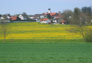 Auf der Strecke
